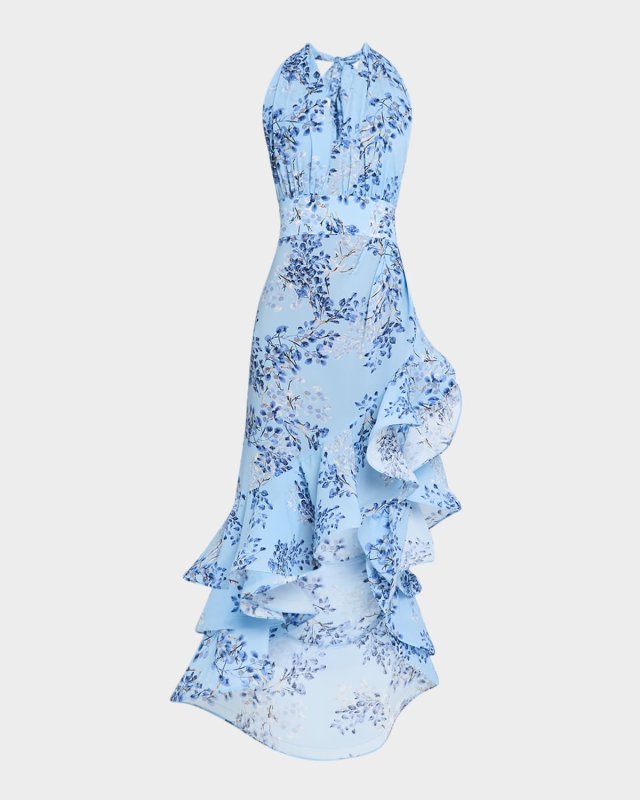 Bronte Floral-Print Ruffle Halter Maxi Dress